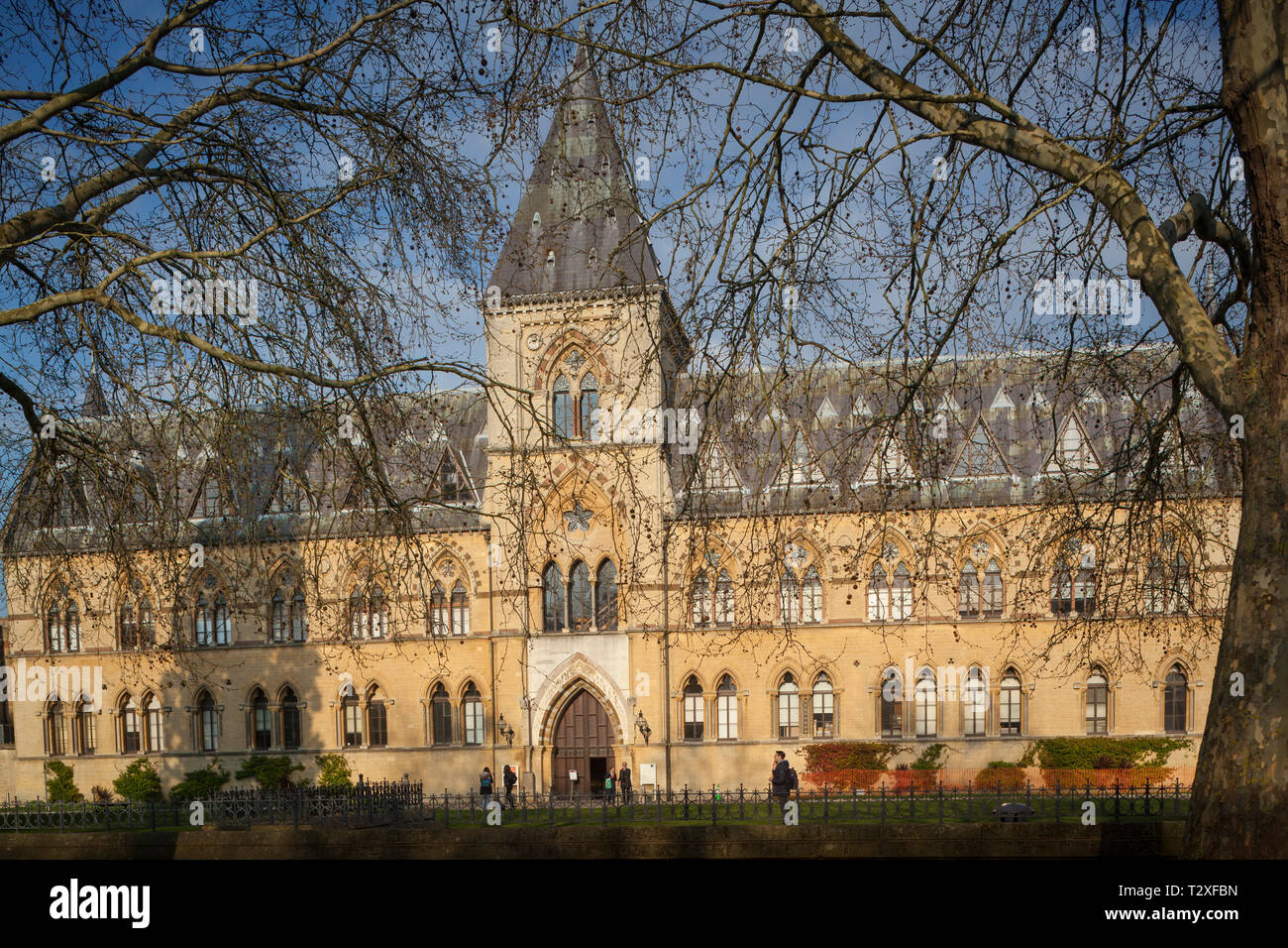 Una vista frontal de la Oxford University Museum of Natural History Foto de stock