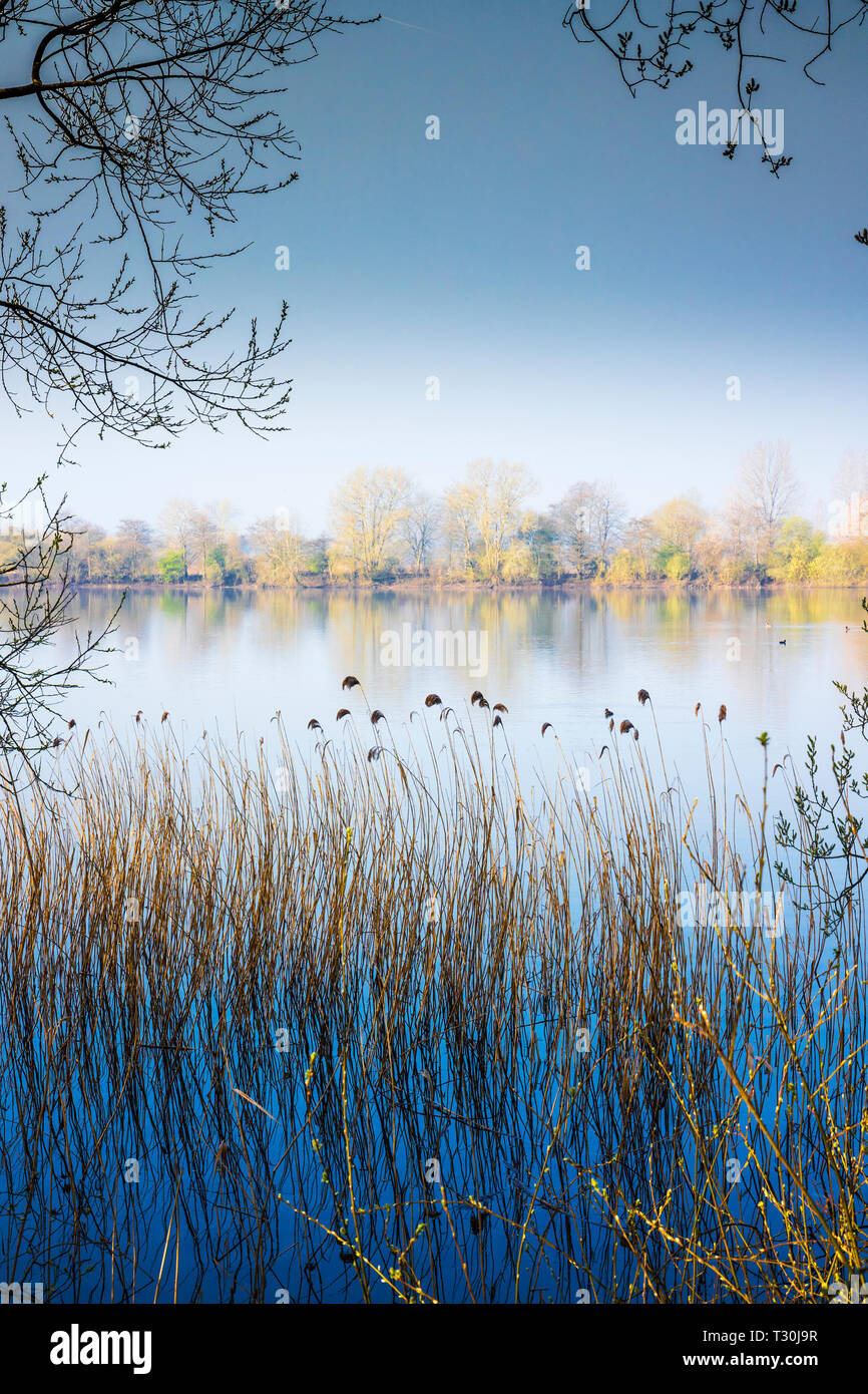 Un cielo lleno de lluvia en una temprana mañana de primavera en uno de los lagos en el Cotswold Water Park Foto de stock