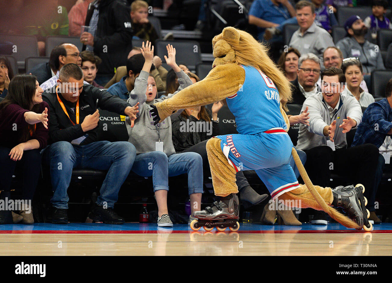 Pawlitics: Poll finds Sacramento Kings' Slamson the Lion is fifth