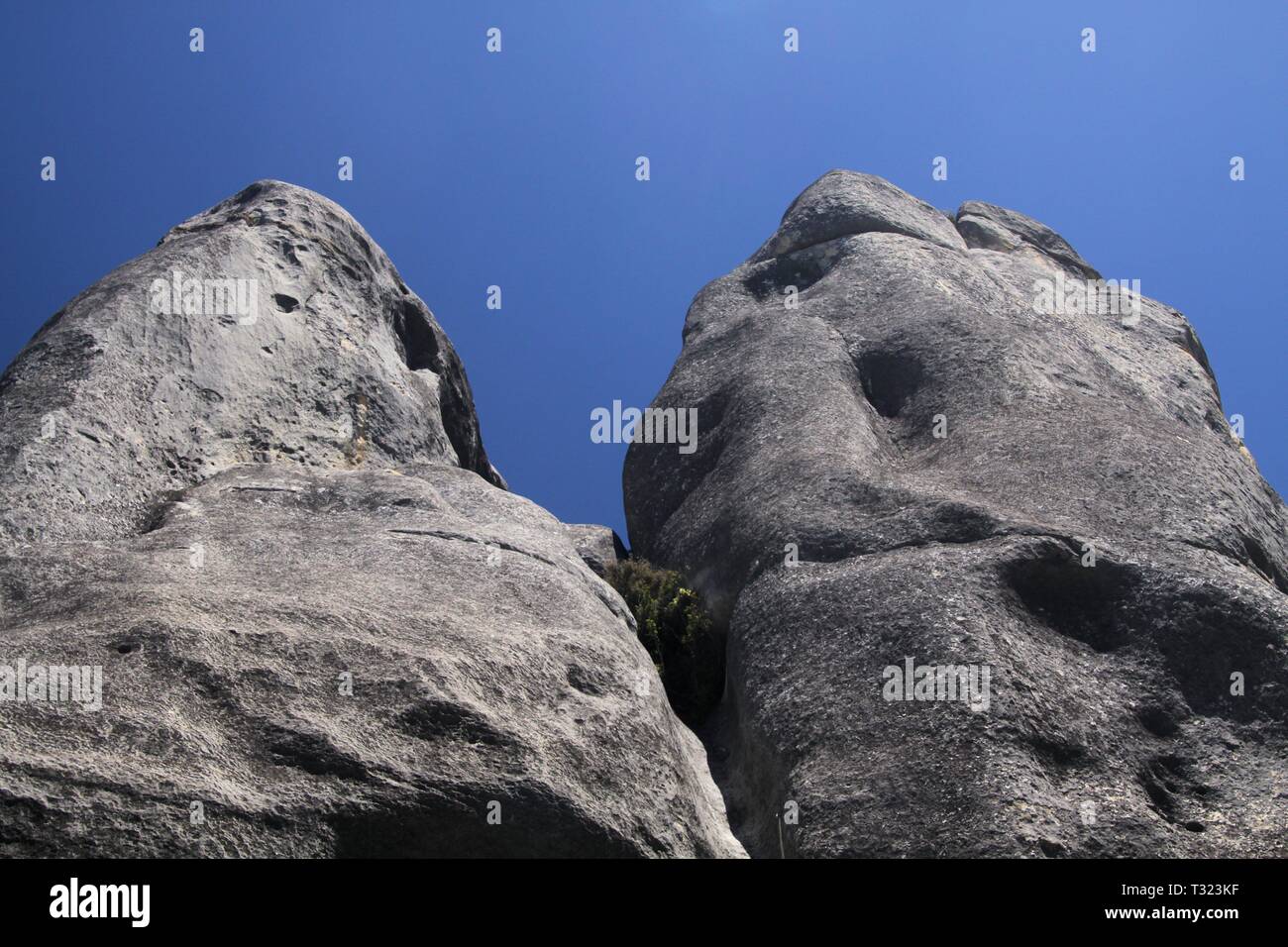 Castle Hill, Nueva Zelanda, Isla Sur: Cantos rodados de piedra caliza dispersos sobre una pradera contrastando con un cielo azul sin nubes Foto de stock