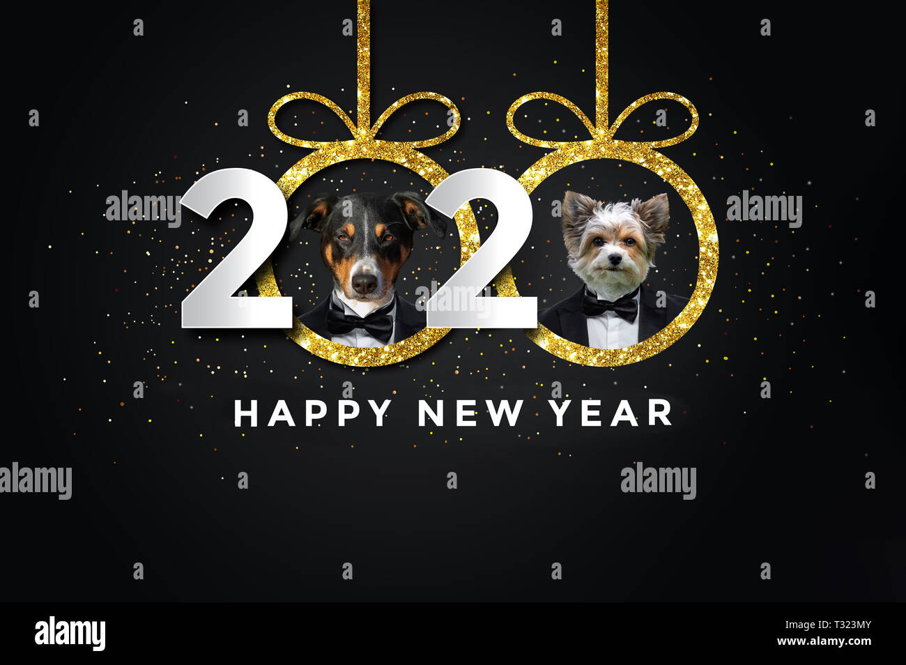 Feliz año nuevo 2020 con dos perros Fotografía de stock - Alamy