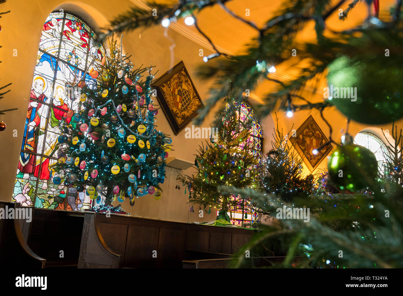 Árbol de Navidad en el Festival de St Chad's Church, Shrewsbury, Shropshire, Inglaterra, Reino Unido. Foto de stock