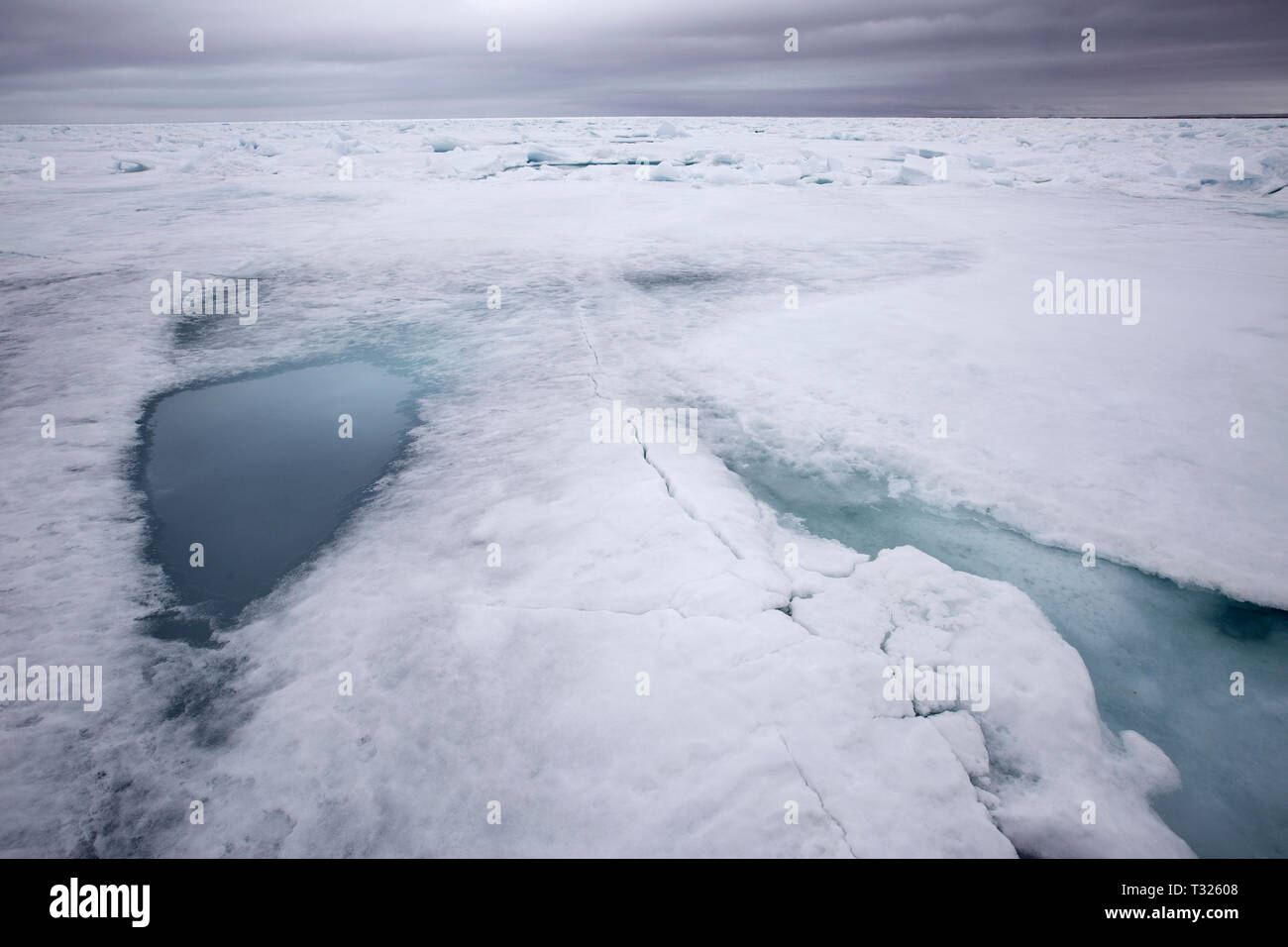 Cubiertas de hielo marino en el Ártico, Spitsbergen, Océano ártico, Noruega Foto de stock