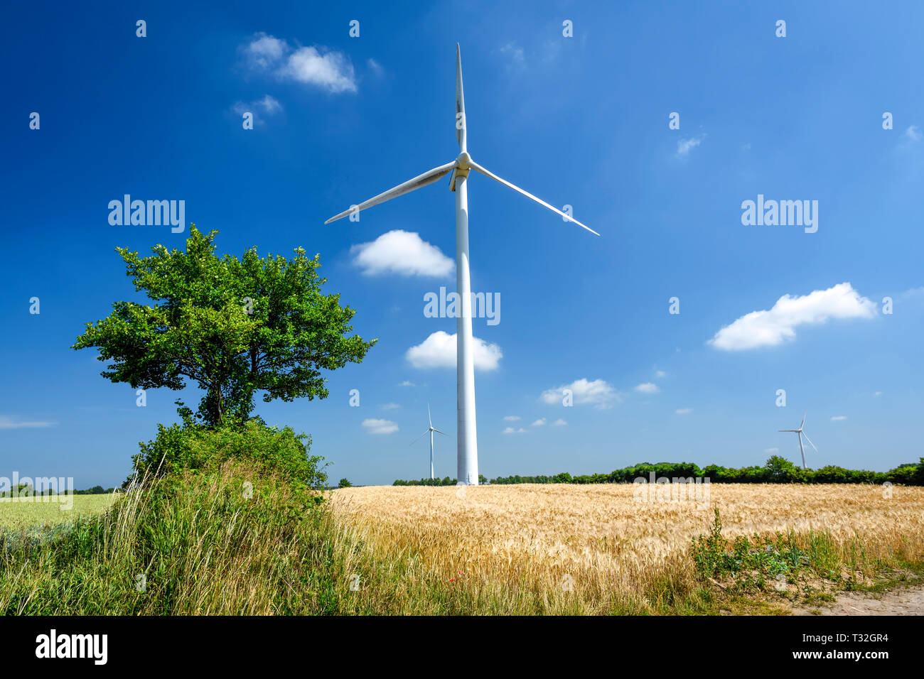 Turbina de viento en el municipio de Scharbeutz en Schleswig- Holstein, Alemania, Europa, Windrad in der Gemeinde Scharbeutz en Schleswig-Holstein, Deu Foto de stock