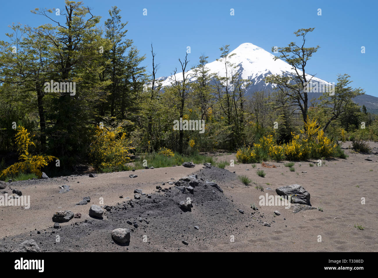 Vistas al volcán Osorno, Chile Foto de stock