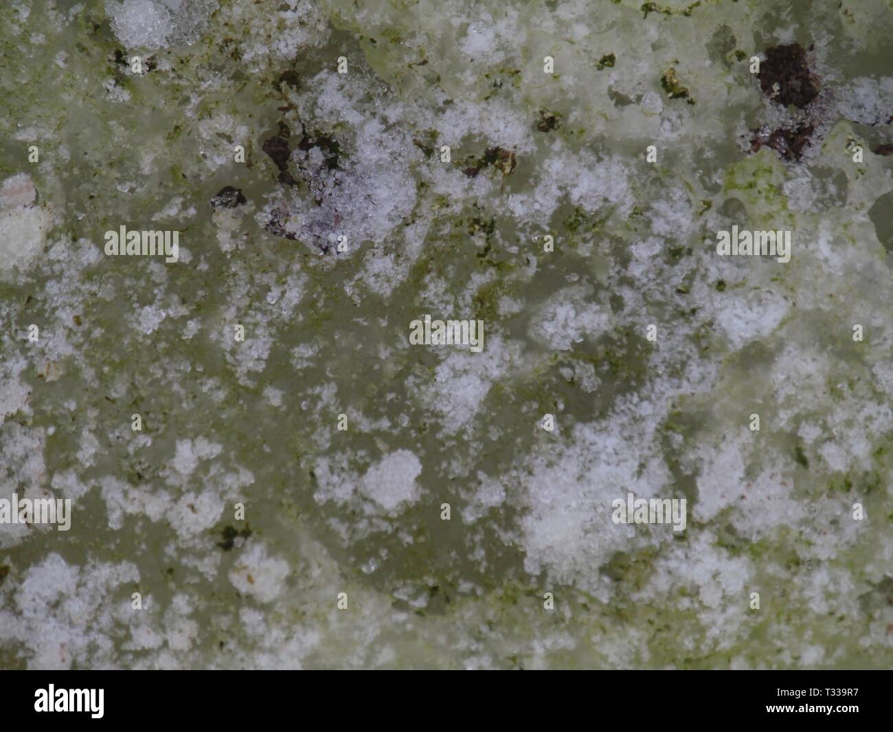 Algas de hielo fotografías e imágenes de alta resolución Alamy