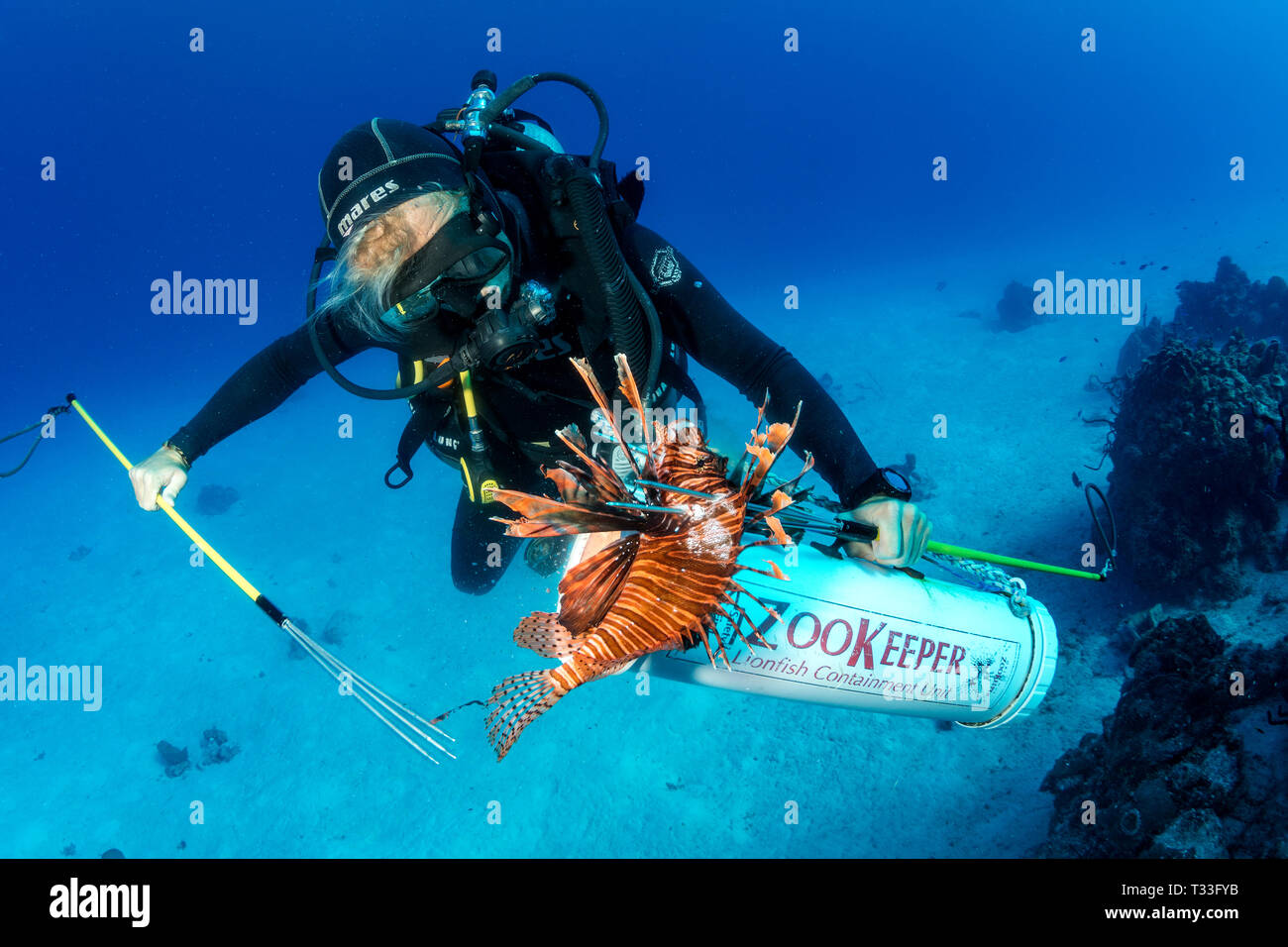 Buzo de pesca submarina fotografías e imágenes de alta resolución - Alamy