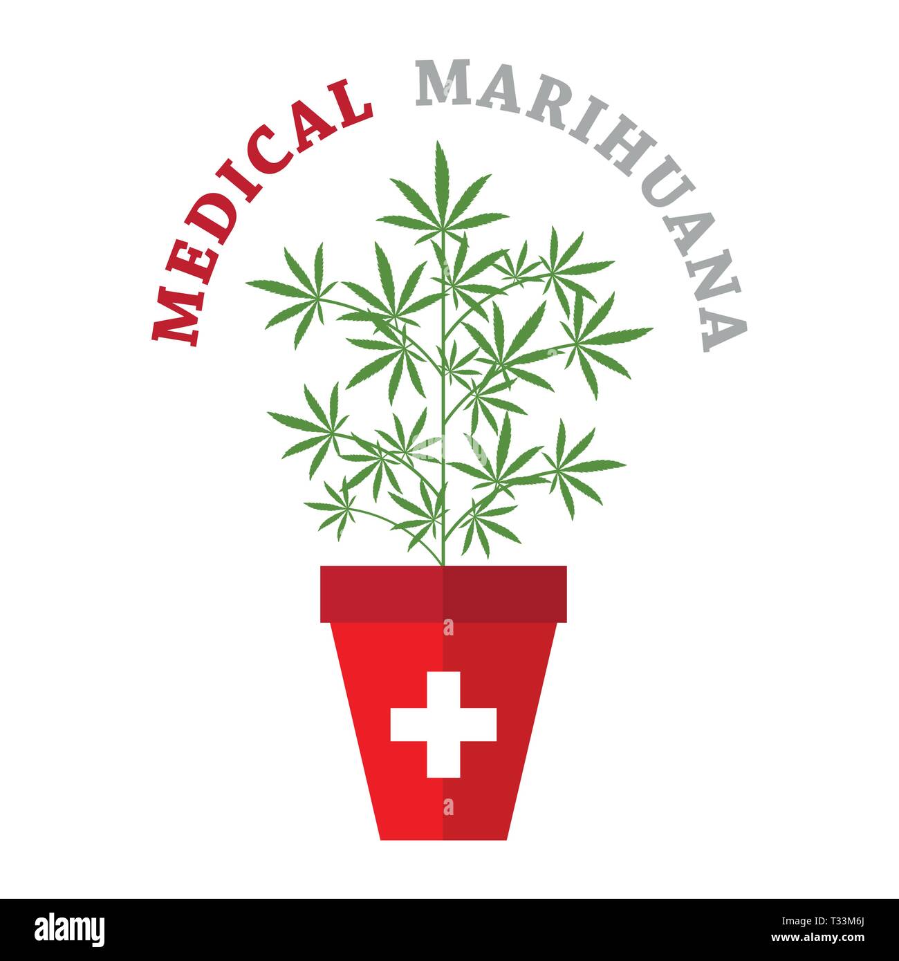 Planta de marihuana medicinal cannabis en maceta ilustración vectorial EPS10 Ilustración del Vector