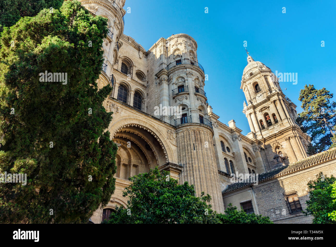 Catedral de la Encarnación en Málaga, España, en el jardín de sol Foto de stock