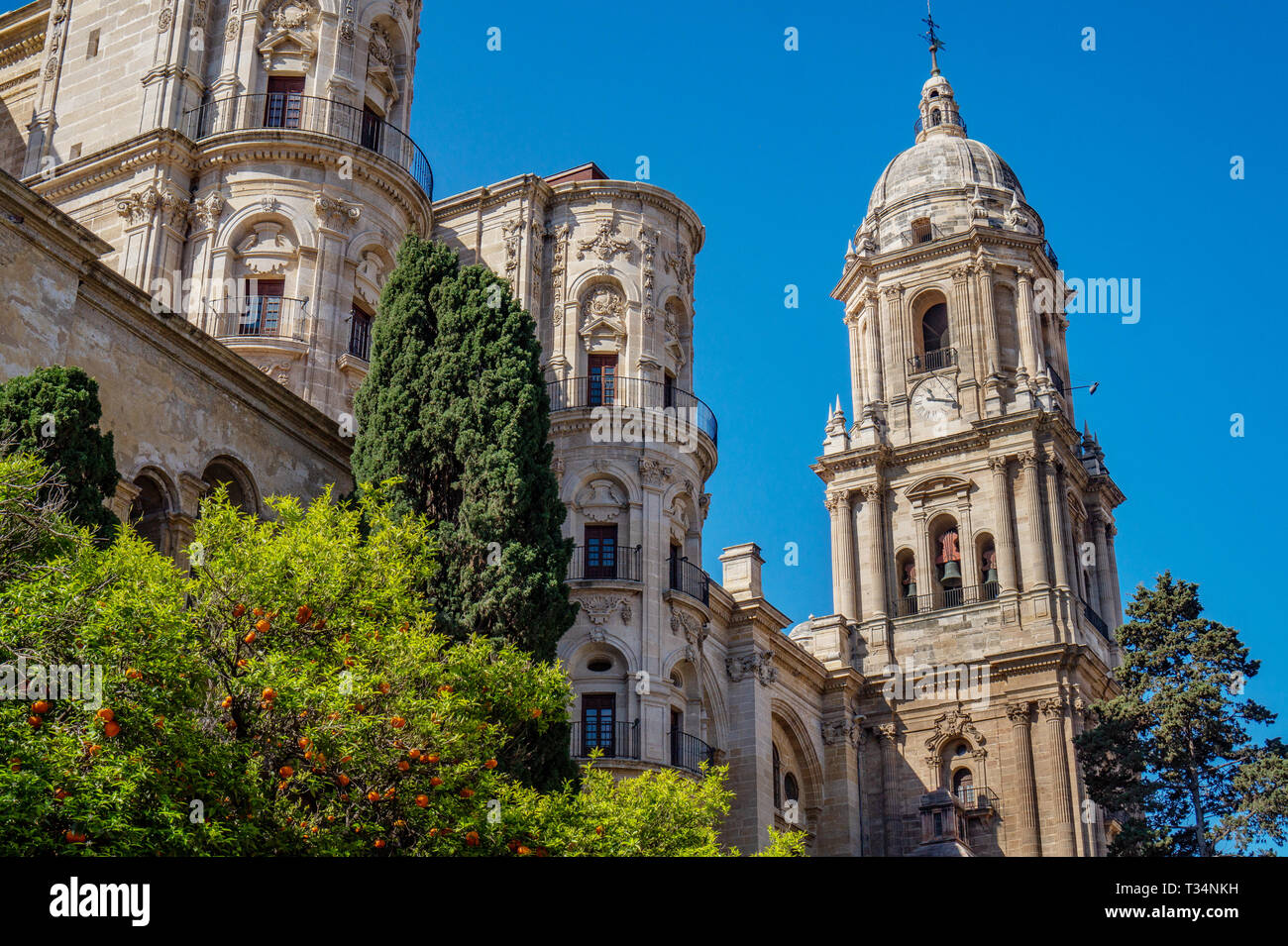 Catedral de la Encarnación en Málaga, España, en el jardín de sol Foto de stock