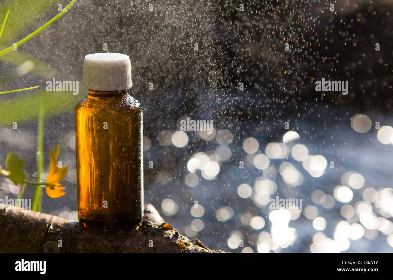 Naturopatía - aceites esenciales y plantas medicinales. Remedios naturales - medicamentos. Foto de stock
