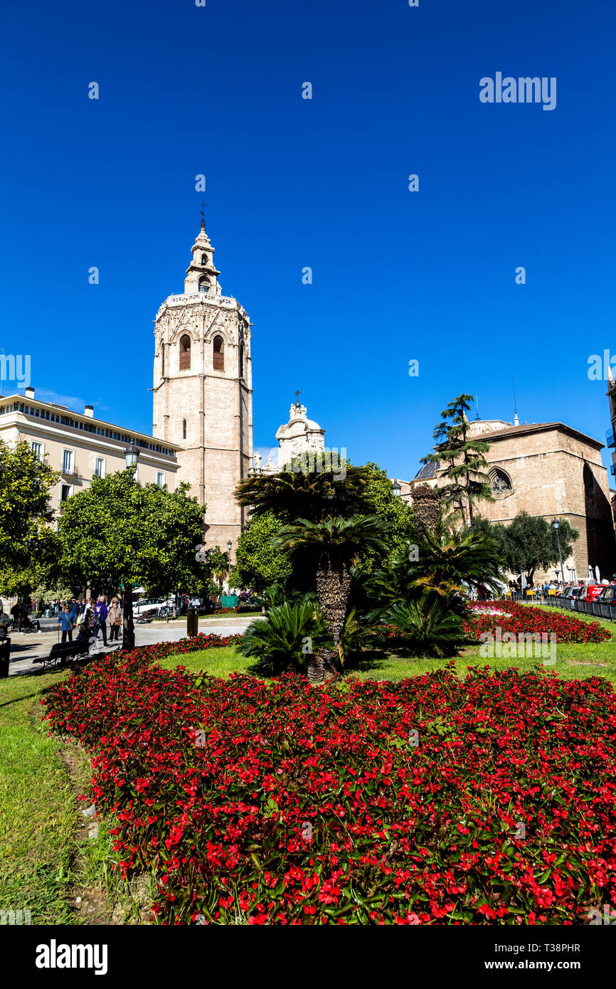 La plaza de la reina con la Catedral de Valencia, en el fondo, Valencia, España Foto de stock