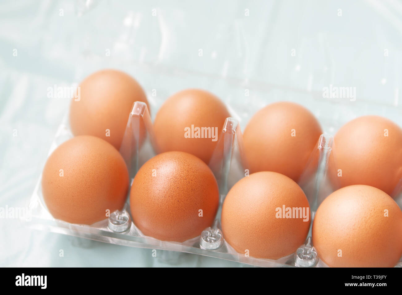 Los huevos de gallinas marrón fresco en el paquete de plástico transparente Foto de stock