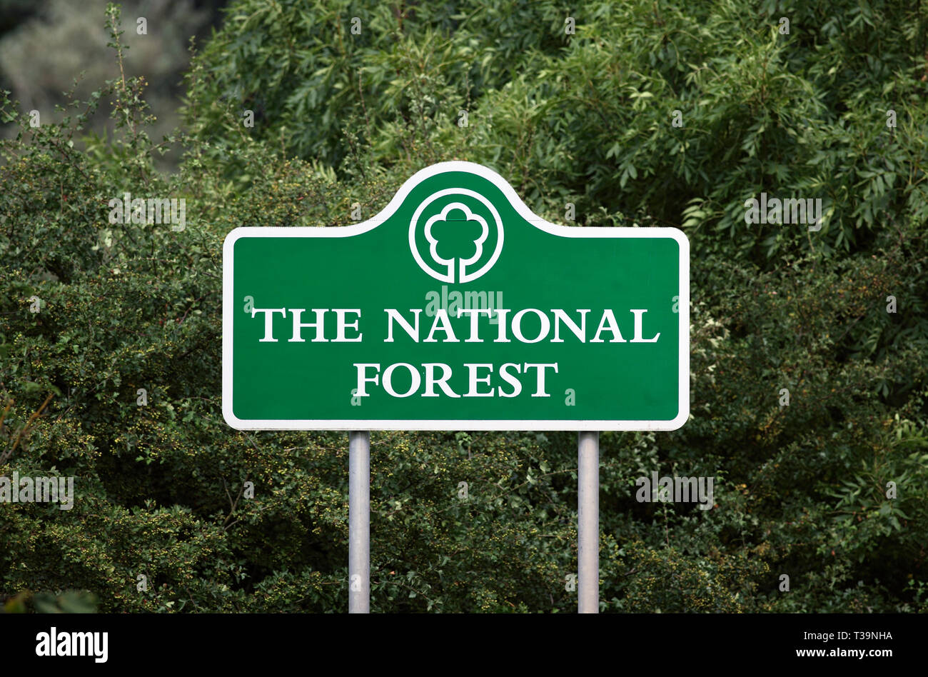 Firmar por una carretera que denota el límite del Bosque Nacional, cerca de Ibstock, Leicestershire. Foto de stock