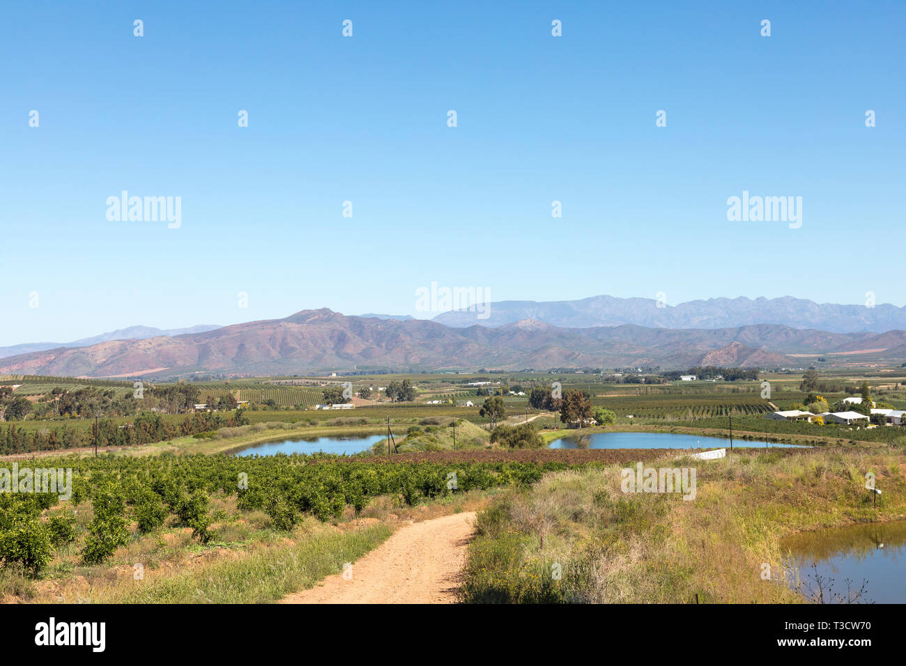 Descripción general de la ruta del vino del valle de Robertson, de 62 años, Western Cape Winelands, mirando a las montañas Riviersonderend, Sudáfrica con viñedos y huertos Foto de stock