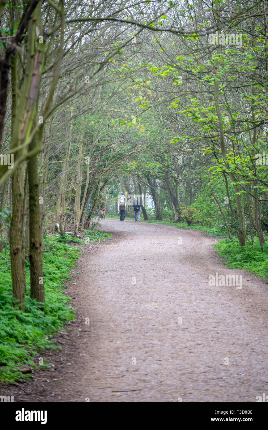 Pierna de cordero o' Reserva Natural junto al río Támesis en Richmond upon Thames, Londres, Reino Unido. Caminantes en el camino del Támesis canopy avenida arbolada. Foto de stock