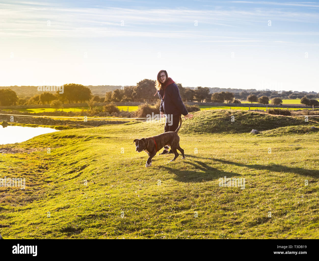 Una joven mujer jugando con un perro joven de la Raza American Staffordshire en campo en primavera Foto de stock