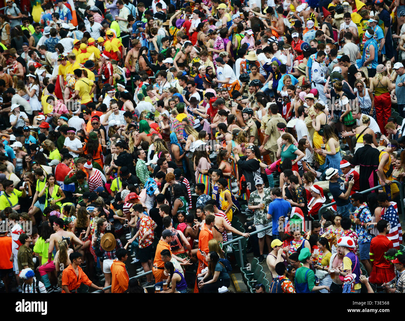 Rugby fans asistiendo a los sietes de Hong Kong. Foto de stock
