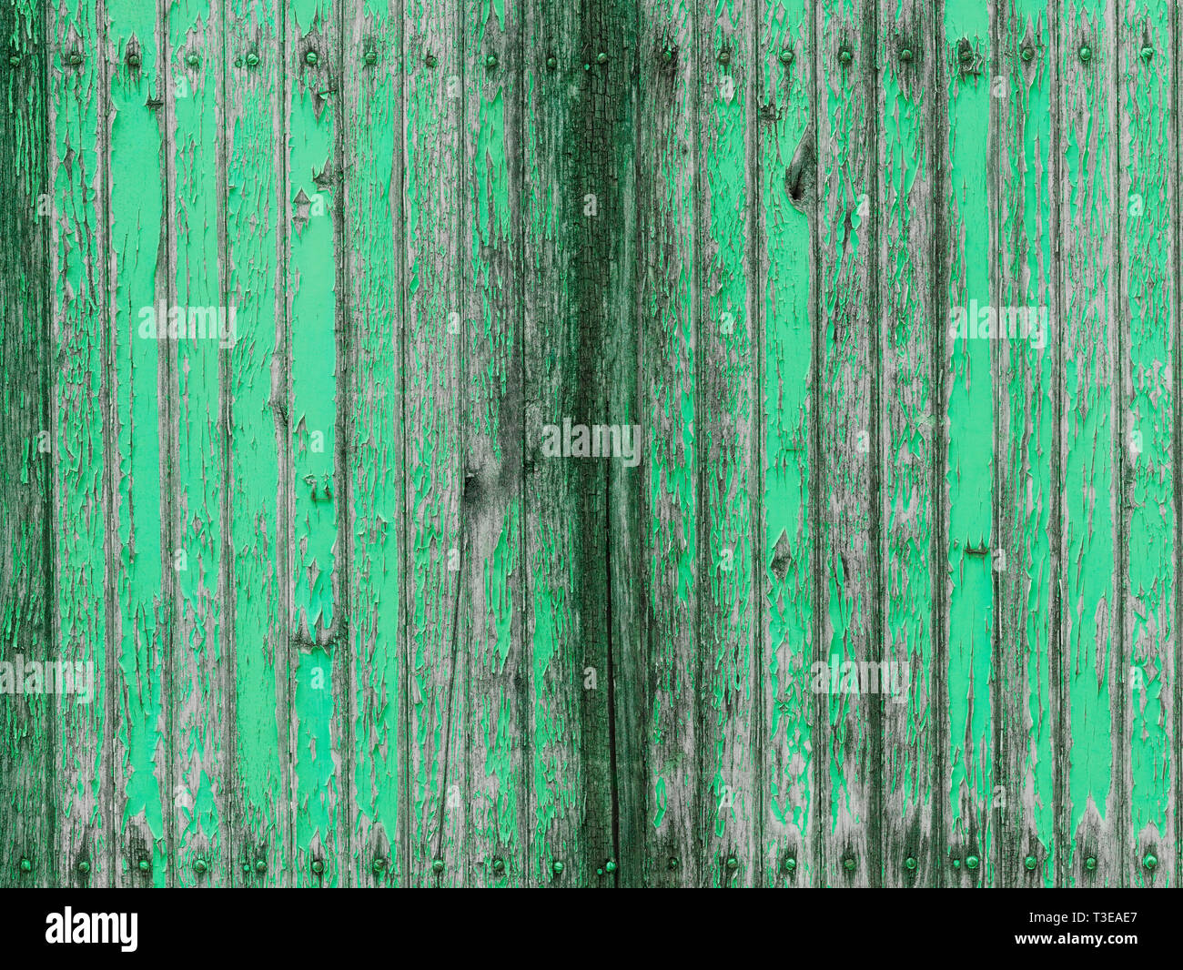 Pared de madera seca verde menta con pintura desconchada Fotografía de  stock - Alamy