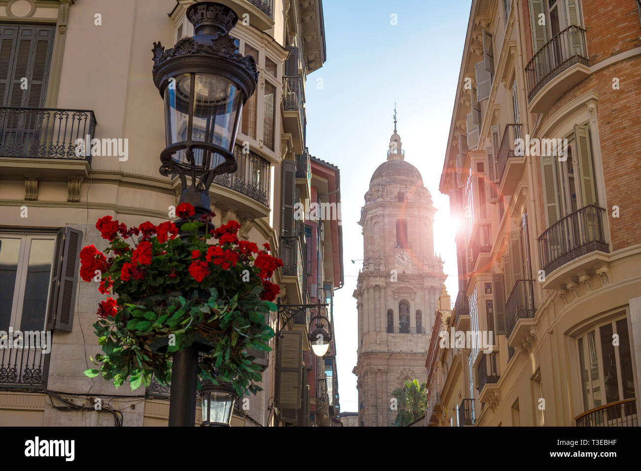 El campanario de la Catedral de la Encarnación al final de una estrecha calle Old Town en Málaga, España, con sol y una flor de geranio Foto de stock