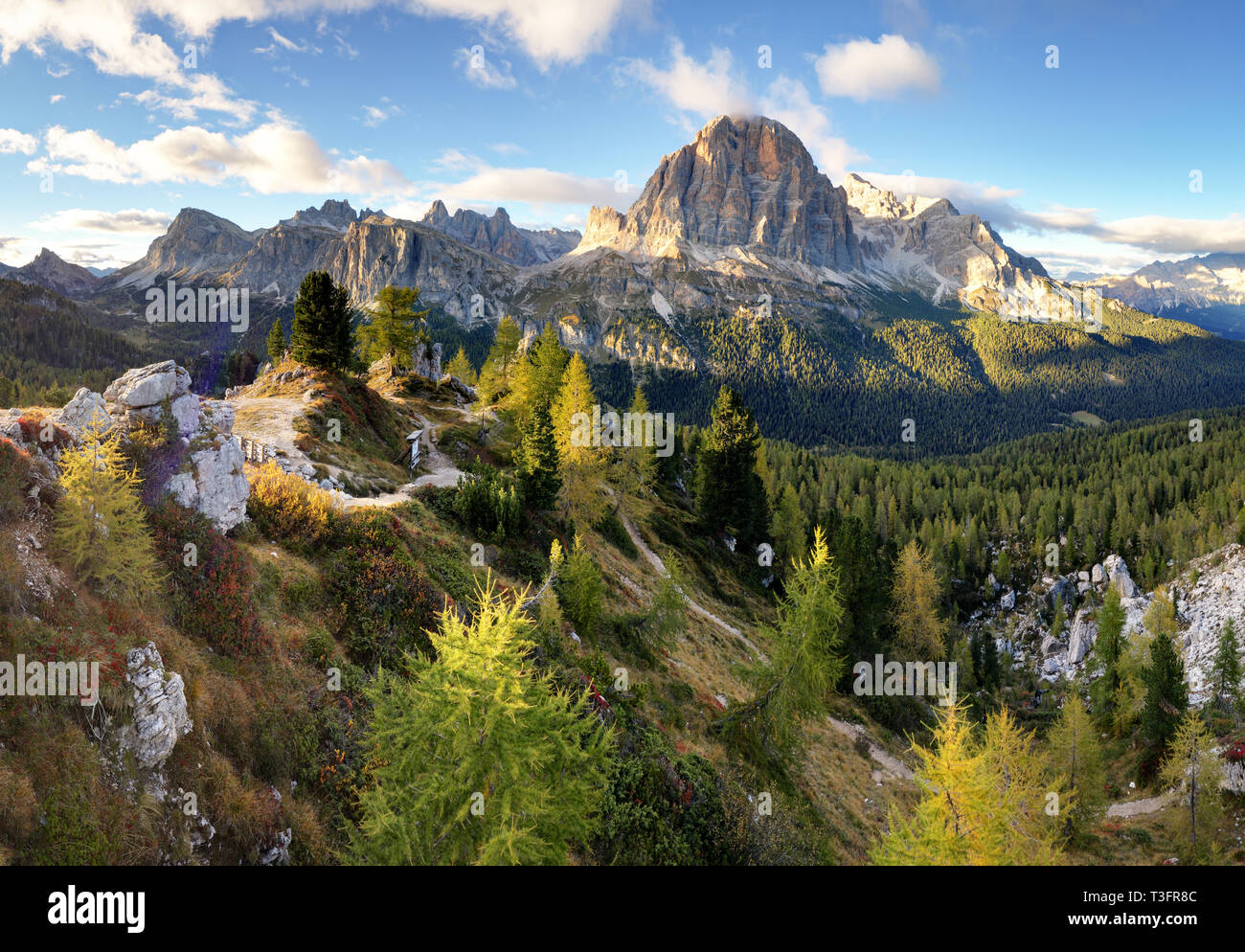 Hermoso paisaje de selva de montaña en los Alpes Foto de stock