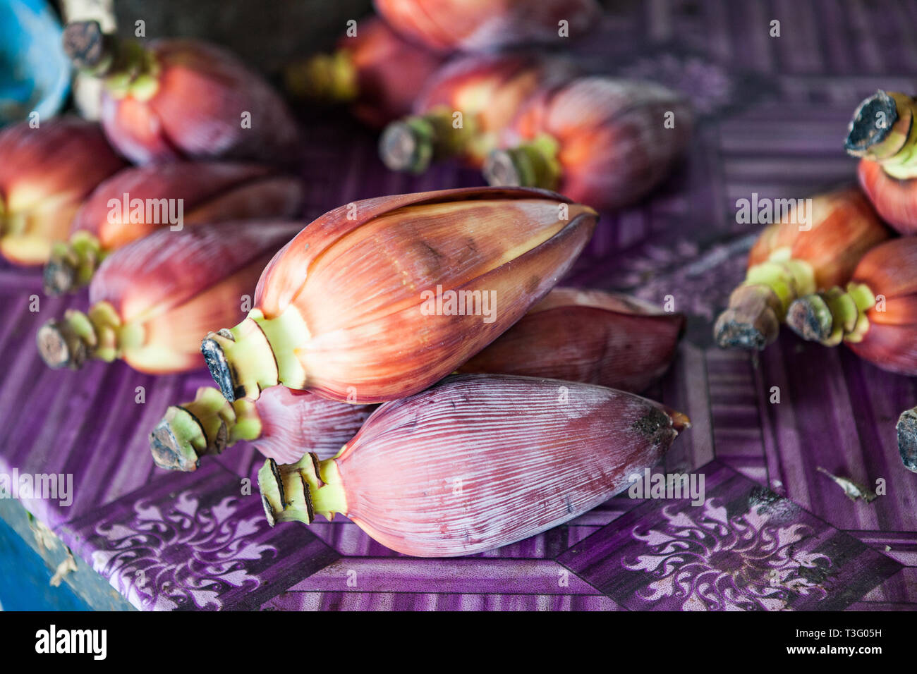 Banana violeta Flores / Blossom Foto de stock