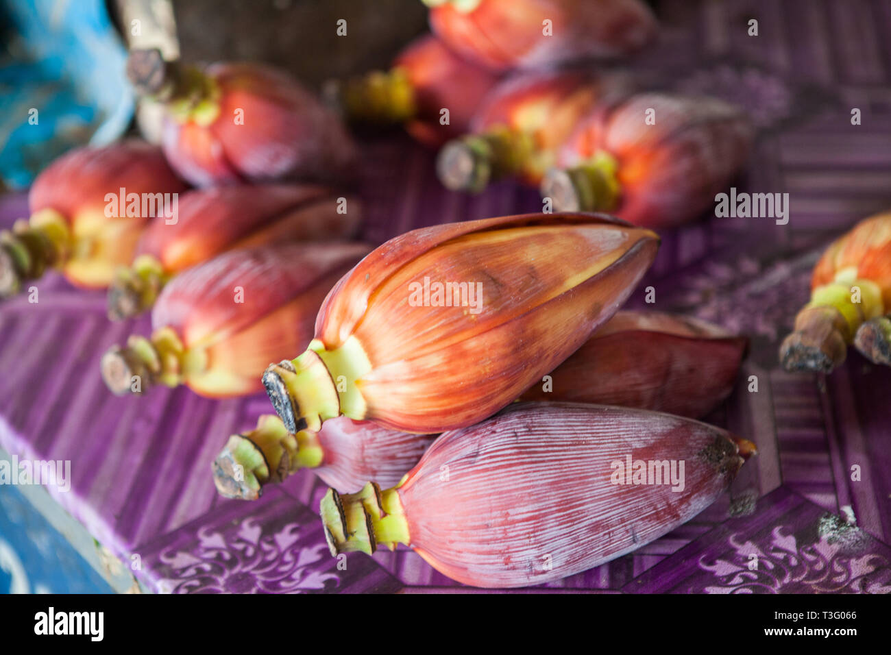 Banana violeta Flores / Blossom Foto de stock