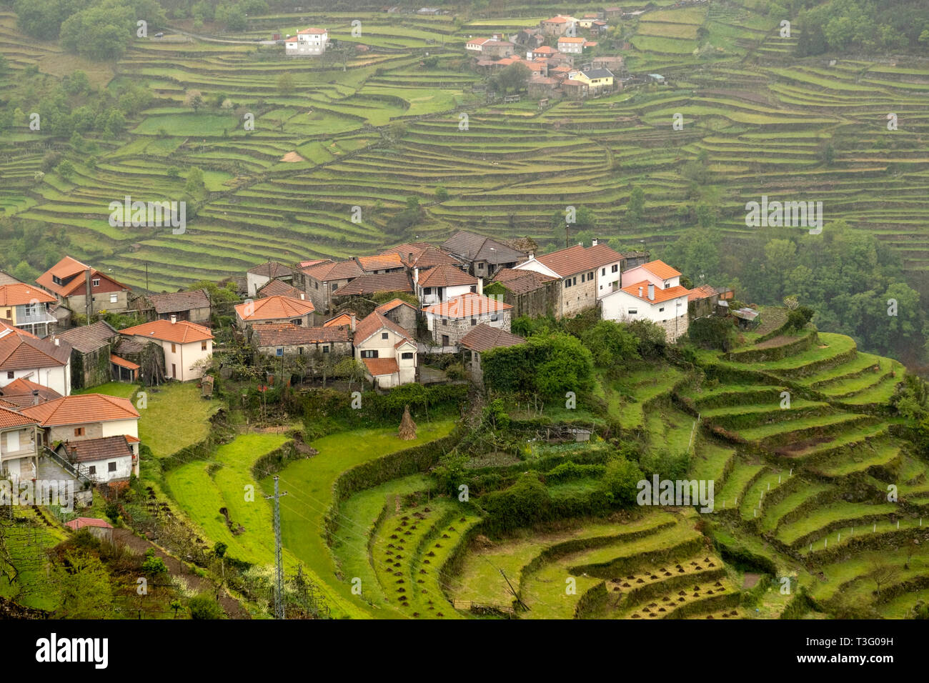 Vista aérea de las colinas de terrazas Sistelo, Serra da Peneda Gerês, Portugal, Europa Foto de stock