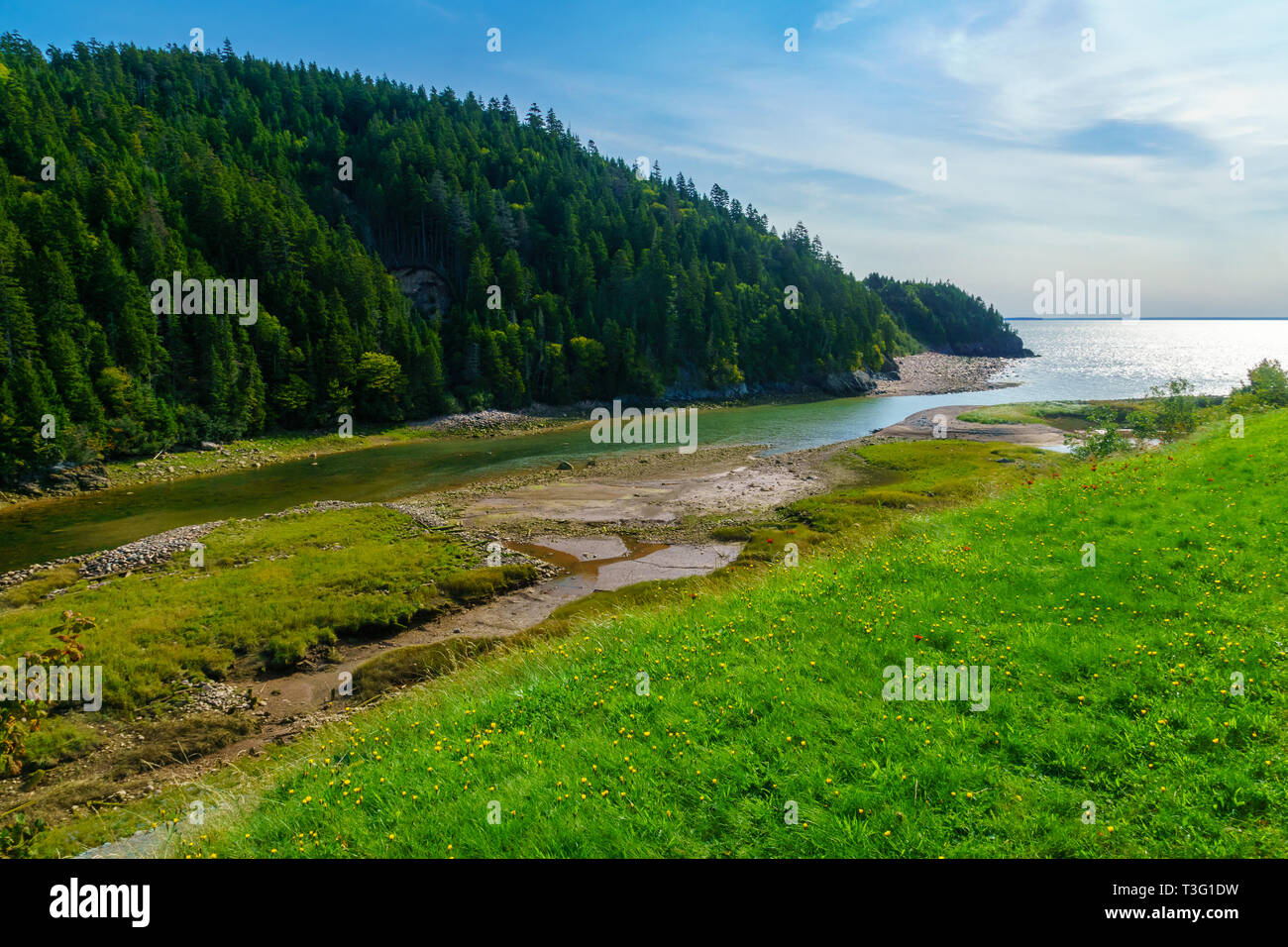 Gran río de salmones en el Fundy Trail Parkway de Nueva Brunswick