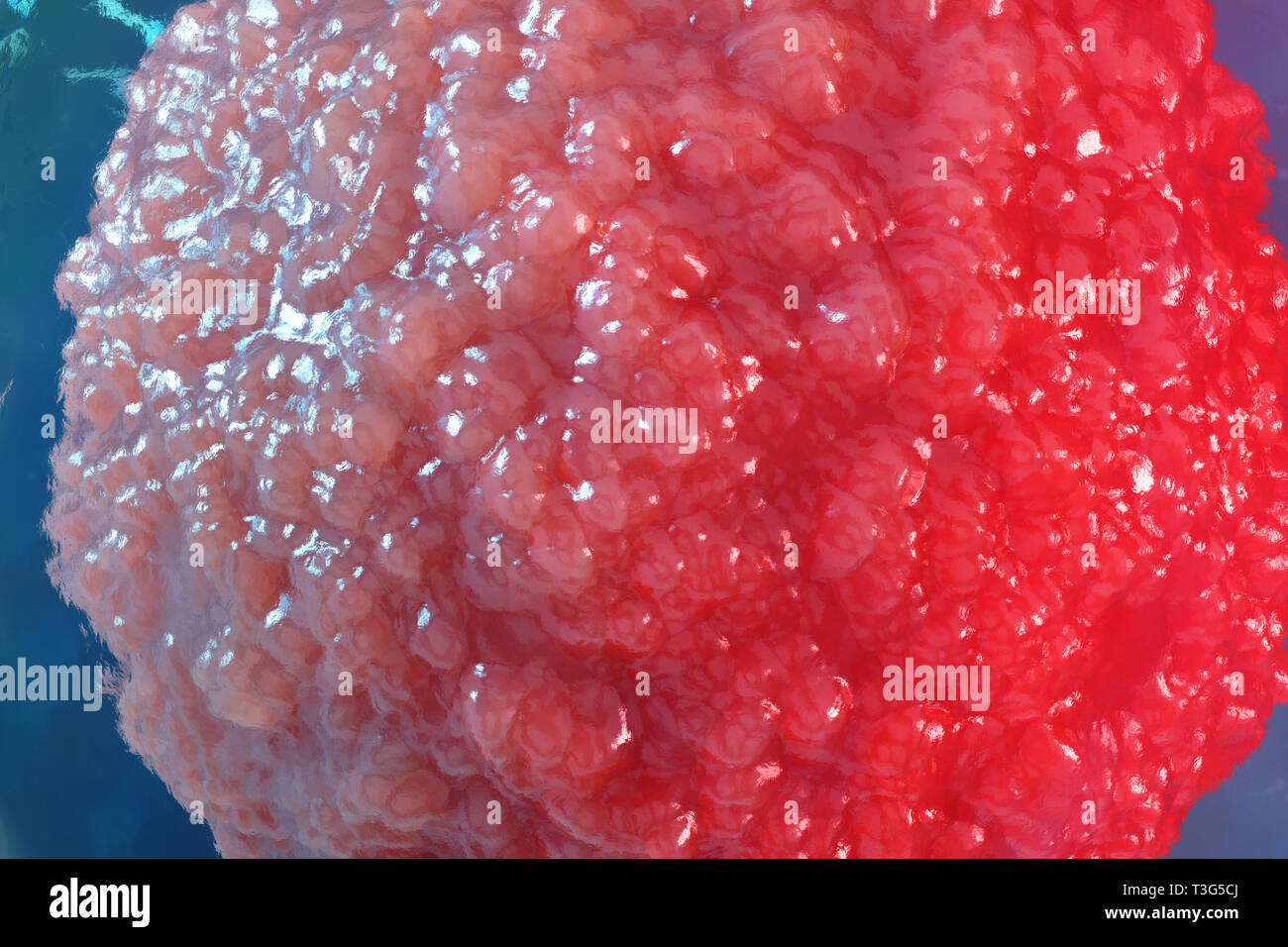 Ilustración 3D los óvulos del embrión. Células de embriones con núcleo rojo en el centro. Los óvulos humanos o animales. Concepto científico de la medicina. Vida de desarrollo Foto de stock