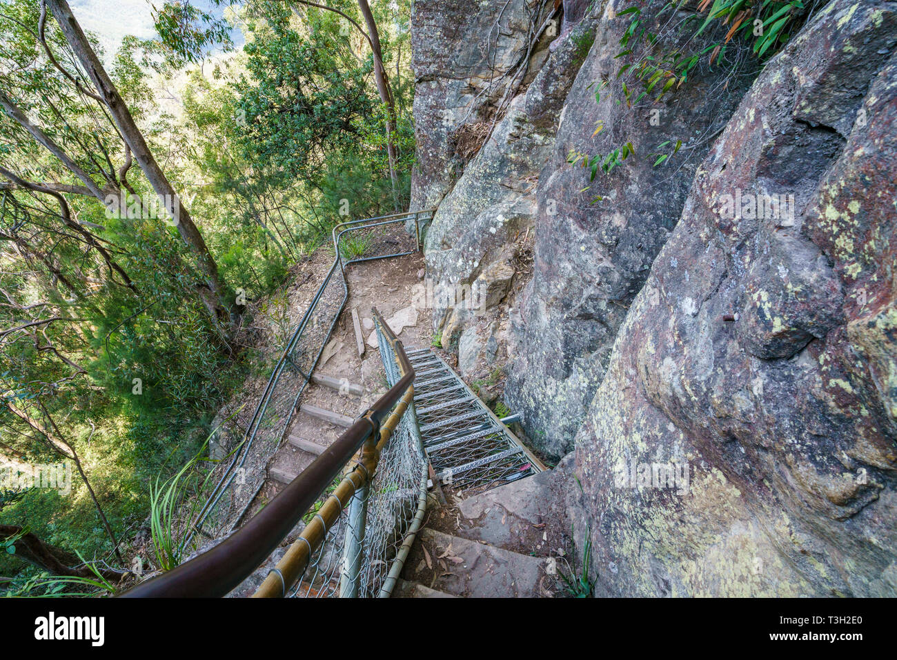 Escalera En Escalera Gigantesca Pista Parque Nacional Blue Mountains 