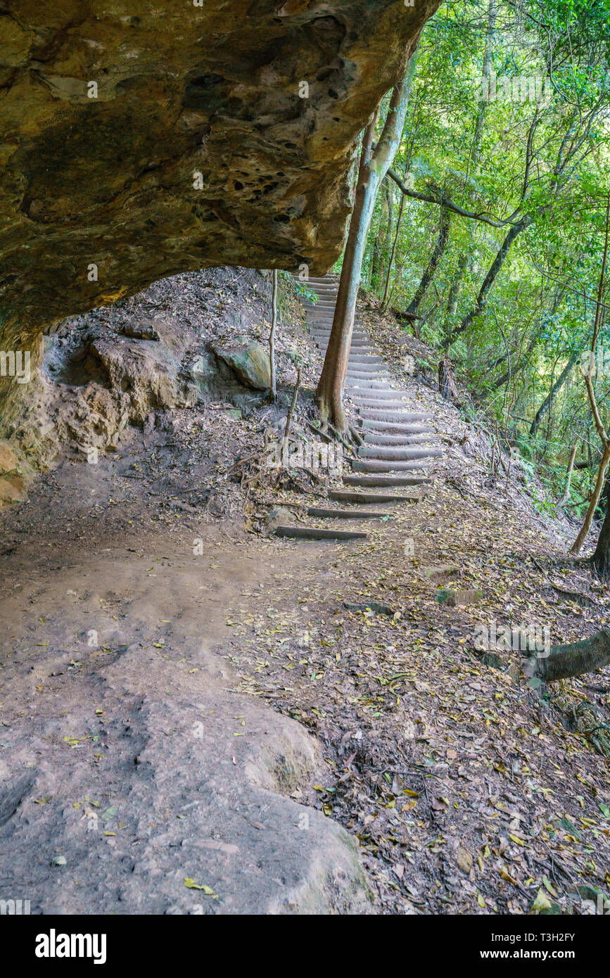 Escalera En Escalera Gigantesca Pista Parque Nacional Blue Mountains 