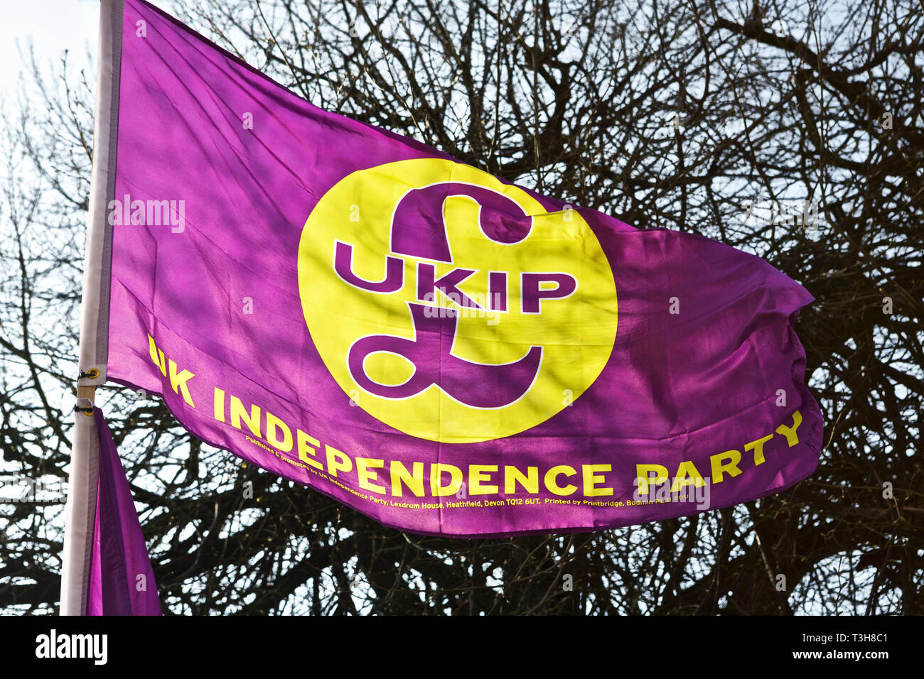 UKIP, bandera del Partido para la Independencia del Reino Unido. UKIP bandera. Foto de stock
