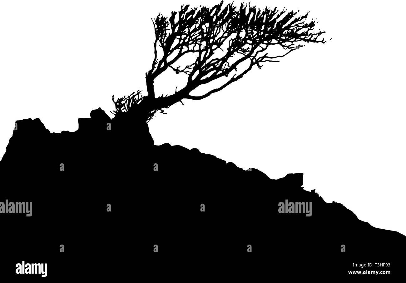 Vector de imagen en blanco y negro de un árbol y ladera en silueta. Ilustración del Vector