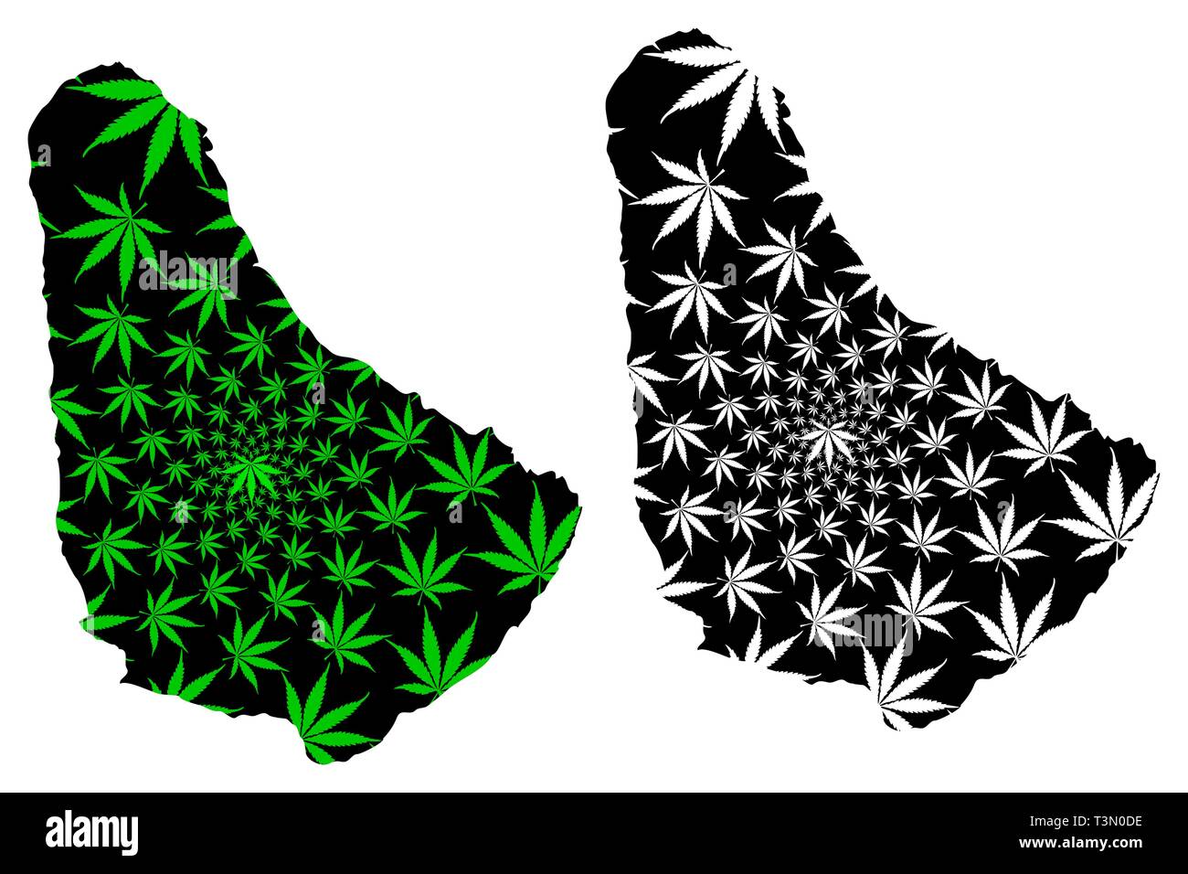 - Mapa de Barbados está diseñado cannabis hoja verde y negro, Barbados mapa de la isla de marihuana la marihuana (THC), follaje, Ilustración del Vector