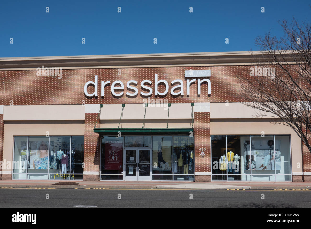 Ascena dressbarn top