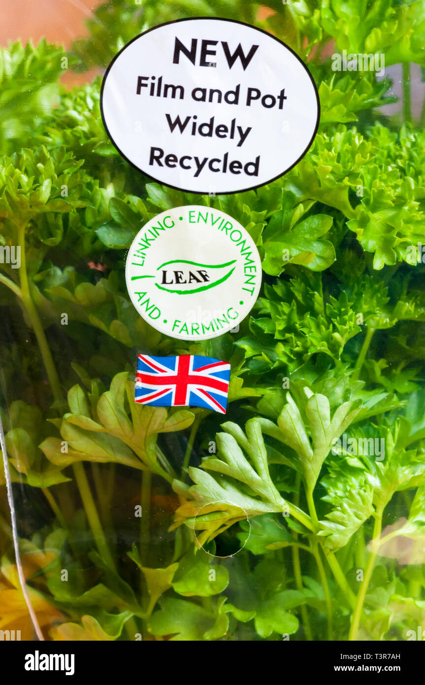 Instrucciones de reciclaje en olla de hojeados perejil rizado. Con una pegatina mostrando cultivados en el Reino Unido & LEAF Marque sticker fomentar la agricultura sostenible. Foto de stock