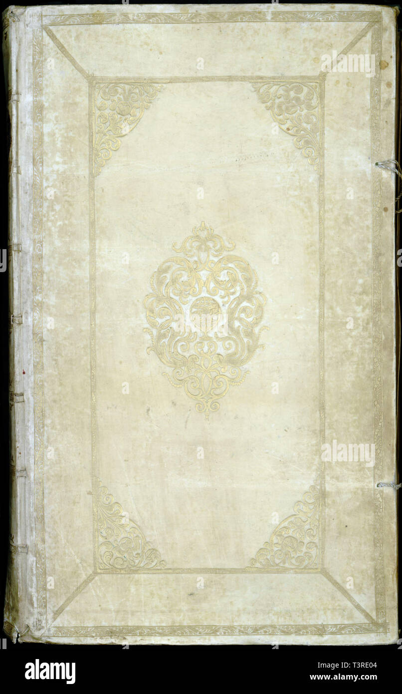 Libro anticuado de piel de cerdo Foto de stock