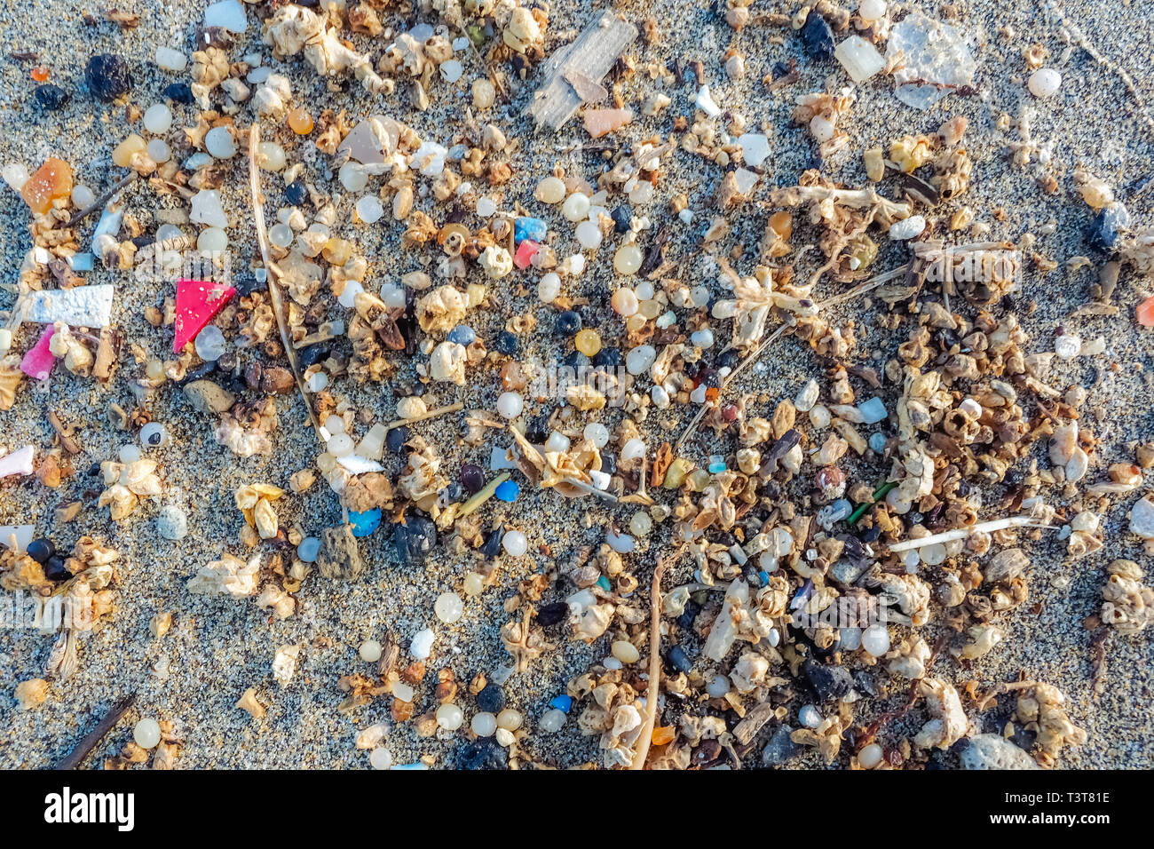Microplastics encontrados en la orilla de una playa de Lanzarote. La contaminación del mar por el plástico, Islas Canarias Foto de stock