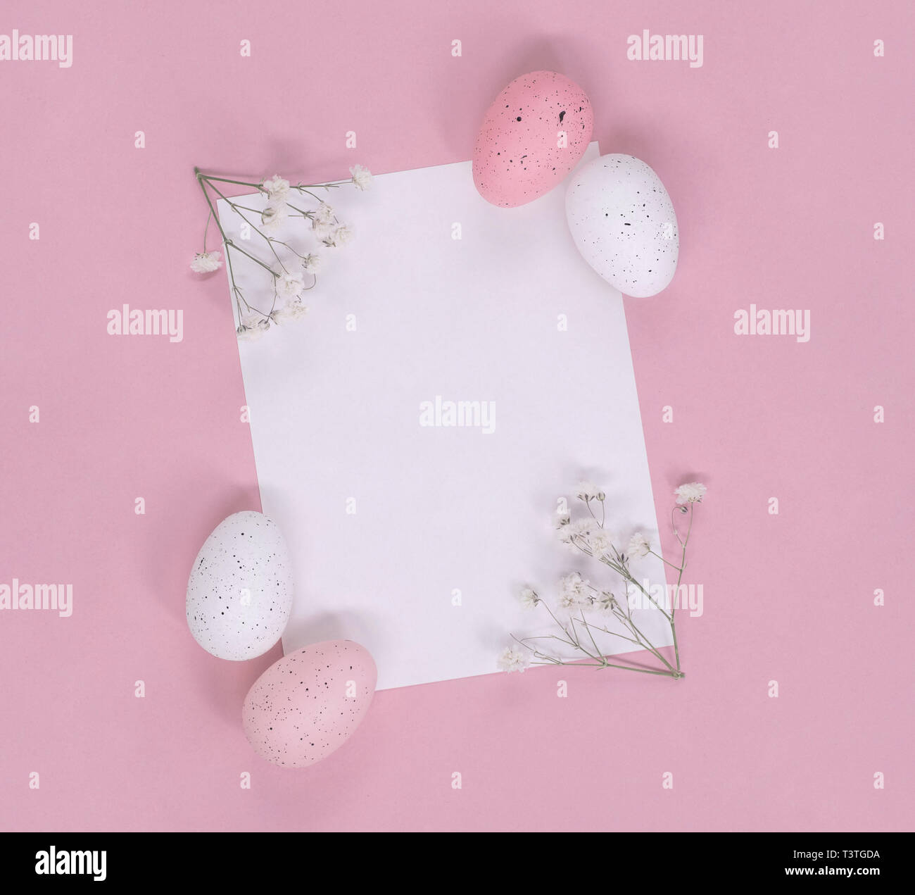 Los huevos de Pascua y flores blancas en torno a una nota de papel en blanco, sobre un fondo de color rosa. Plana con copia espacio laical. Foto de stock