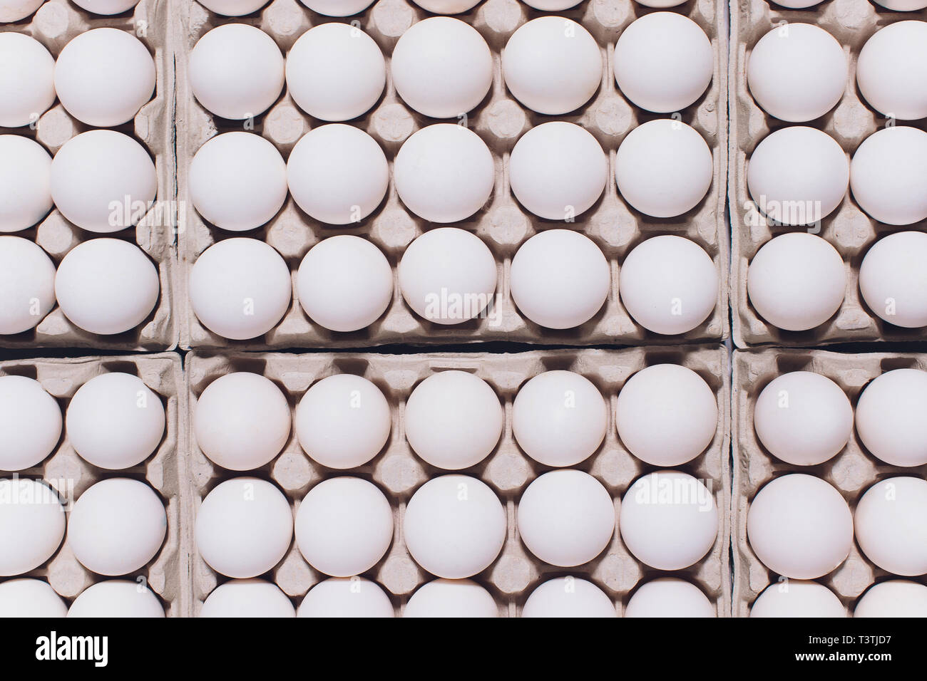 Huevos blancos de una gallina en inofensivos, embalaje de cartón sobre un fondo blanco. Foto de stock