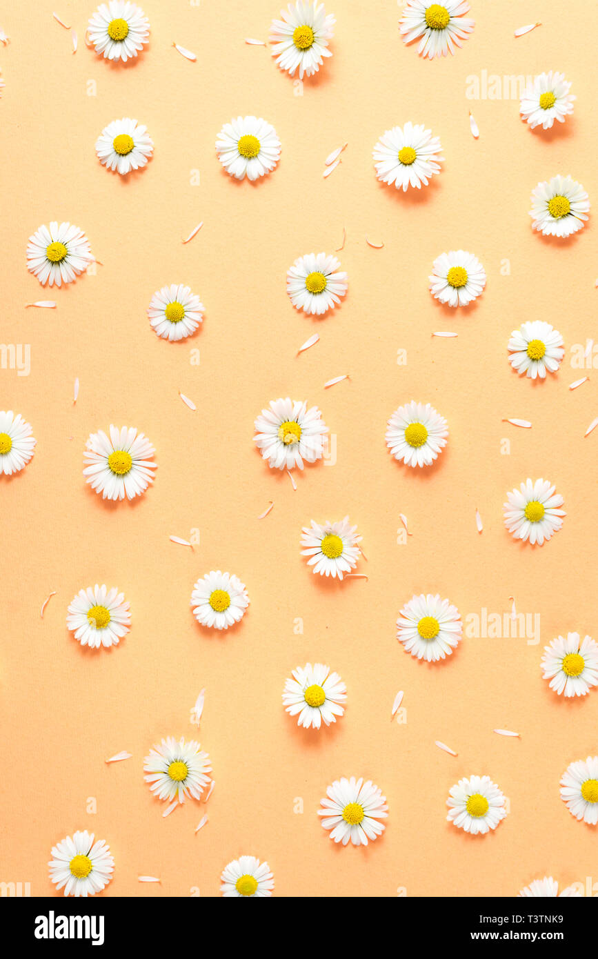 Naranja pastel fotografías e imágenes de alta resolución - Alamy
