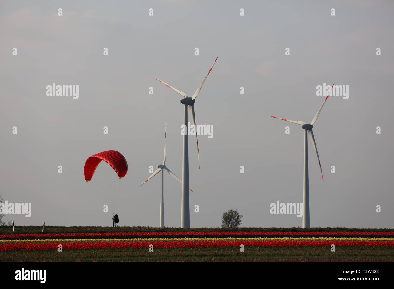 Parapente con energía verde. Foto de stock