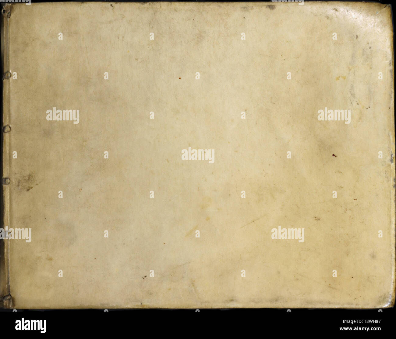 Libro anticuado de cerdo con piel Foto de stock