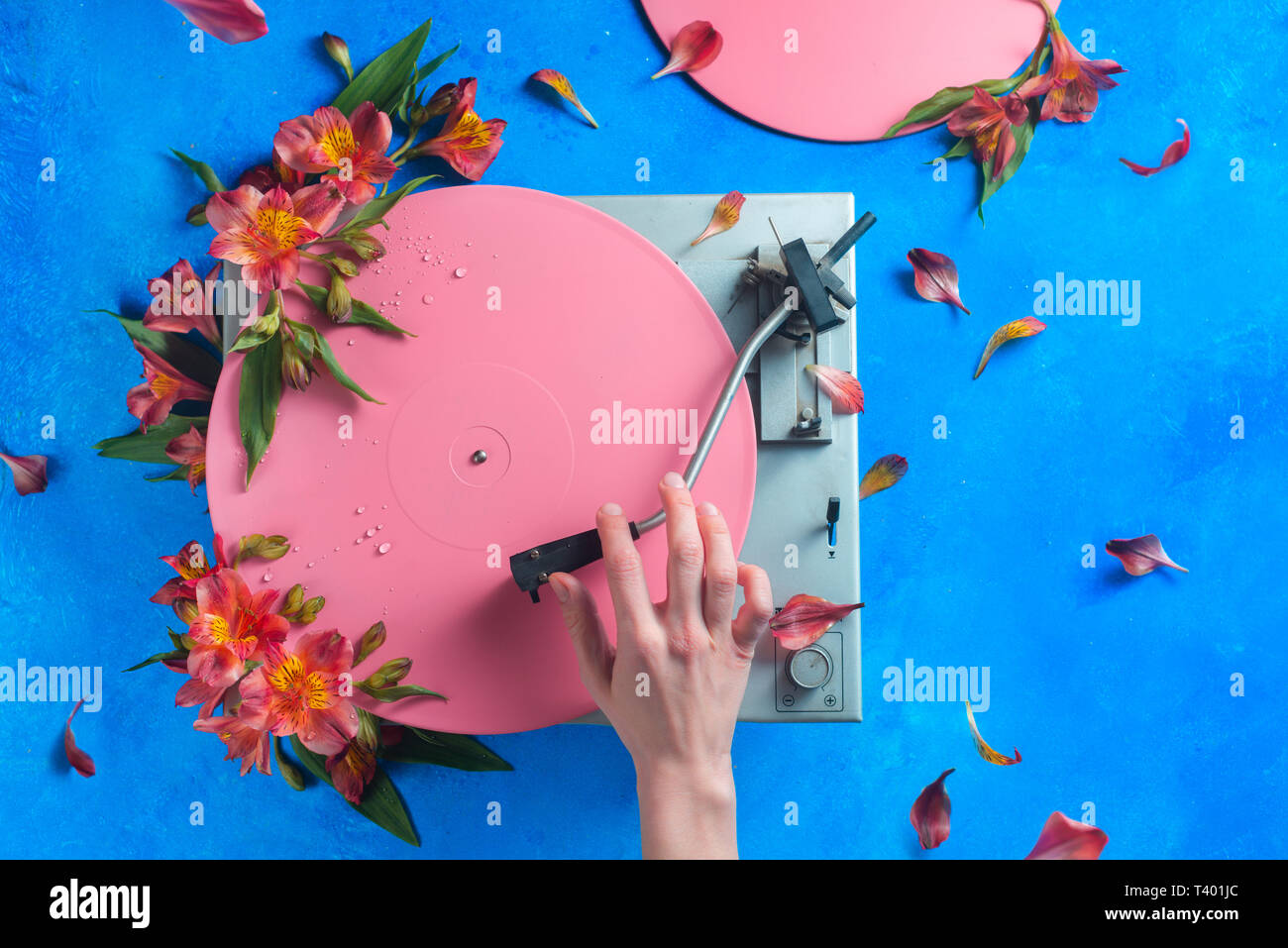 Colorido reproductor de discos de vinilo con pétalos y hojas. Pink pop up plano conceptual sentar con flores. Todavía la vida musical de primavera Foto de stock