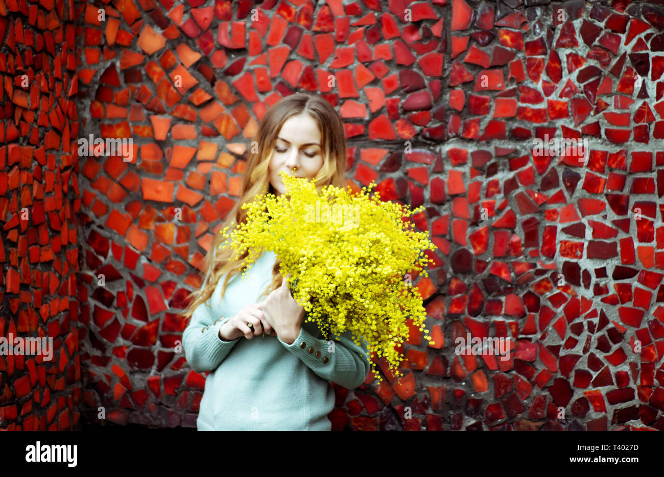 Chica con un ramo de flores amarillas de la mimosa en sus manos, abrazos y  huele el aroma Fotografía de stock - Alamy
