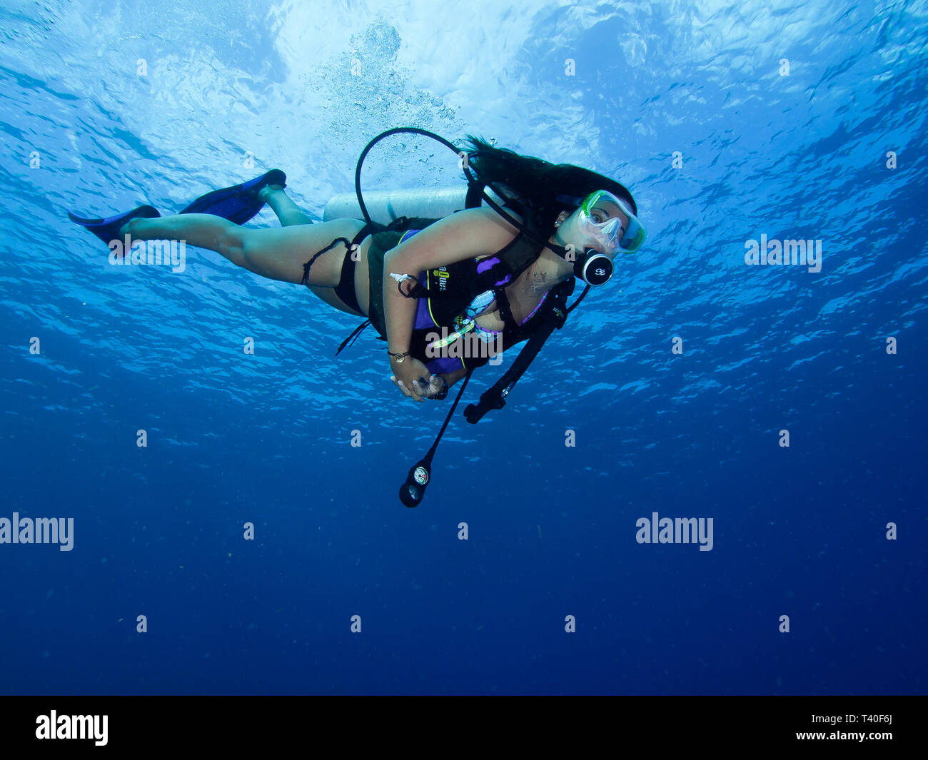 Mujer buceando caribe fotografías e imágenes de alta resolución - Alamy