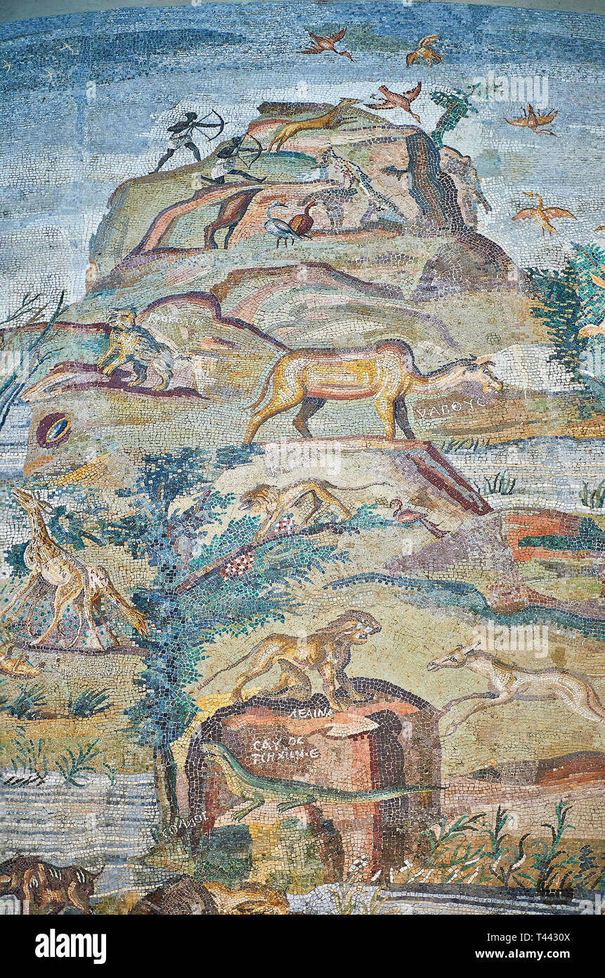 Detalle de la fuente de imagen oof el Nilo desde el famoso romano helenístico Palestrina nilótico Mosaico horizontal o Mosaico del Nilo de Palestrina, 1 o 2 Foto de stock