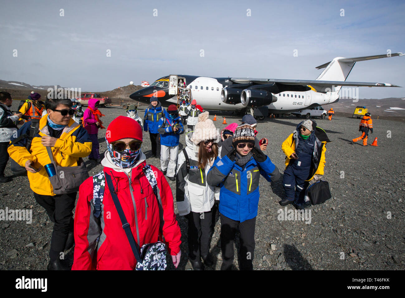 un-avion-procedente-en-tierra-en-el-aeropuerto-teniente-rodolfo-marsh-martin-a-la-base-frei-en-la-isla-rey-jorge-islas-shetland-del-sur-antartida-trayendo-t46fkk.jpg