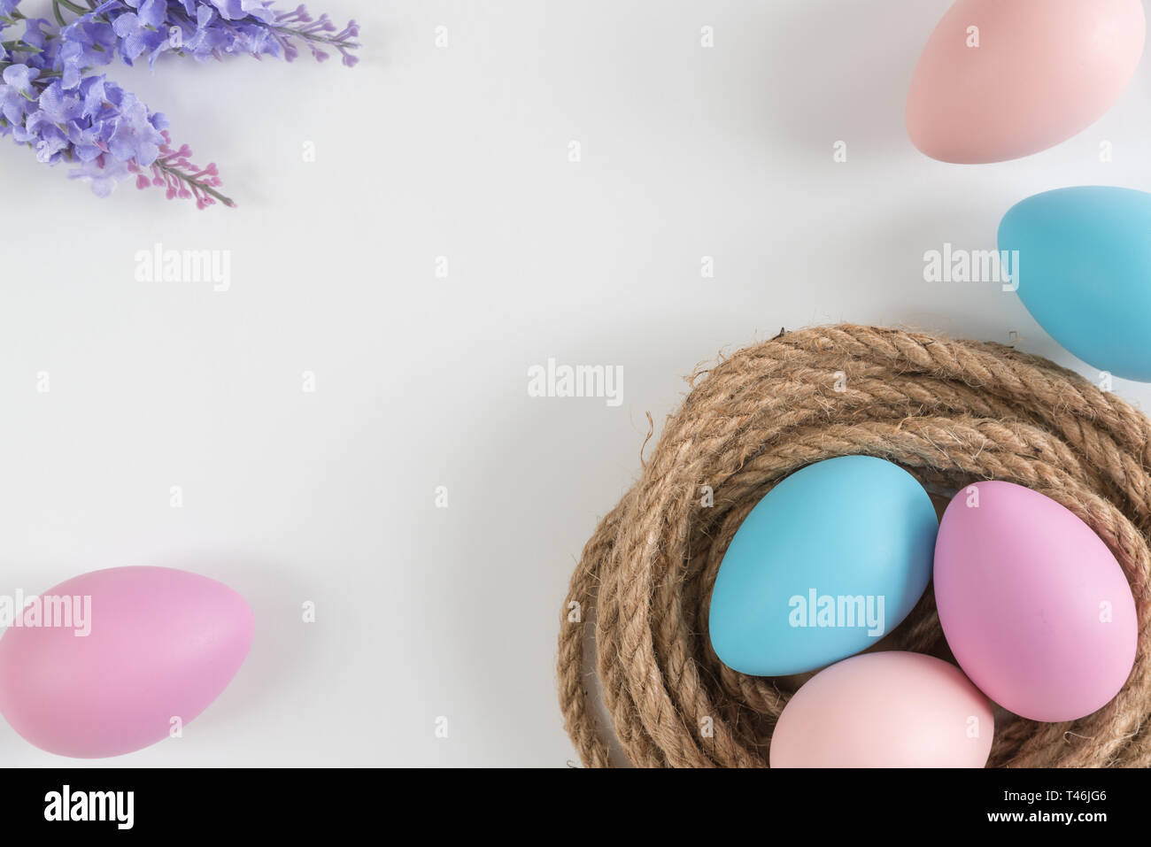 Azul pastel, rosa y púrpura huevos en nido con flores de lavanda sobre fondo blanco. Foto de stock